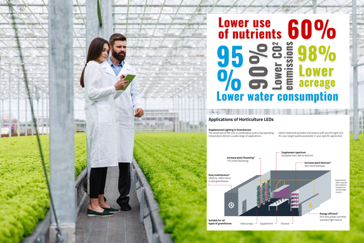 Optimizing crops with horticulture LEDs