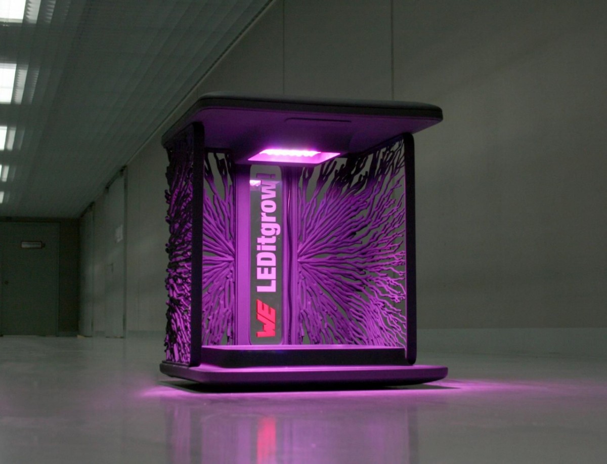 Optimizing crops with horticulture LEDs